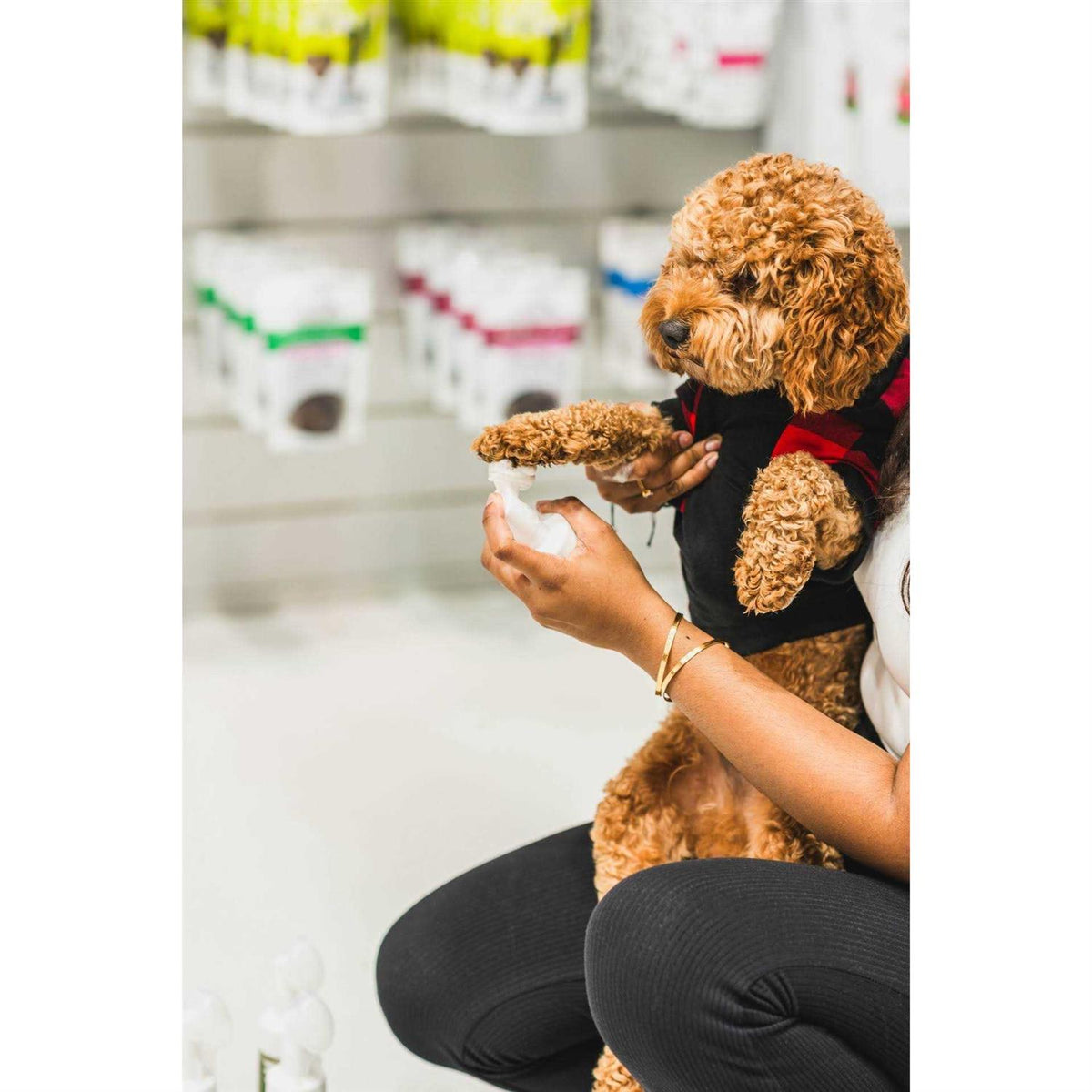 No-Rinse Foaming Cleanser for Dogs C906
