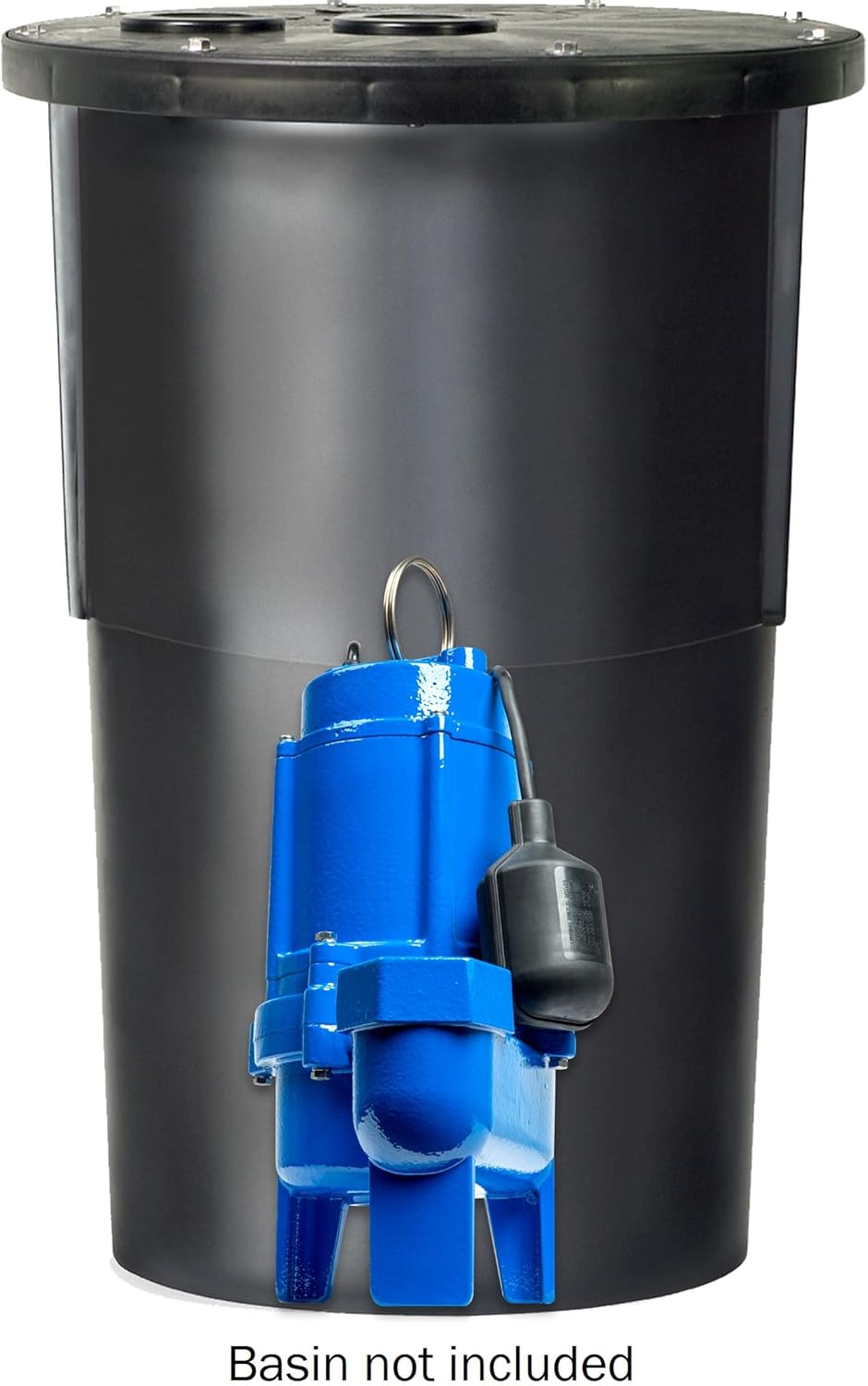 3/4 hp Cast Iron Sewage Pump with Tethered Switch P8241