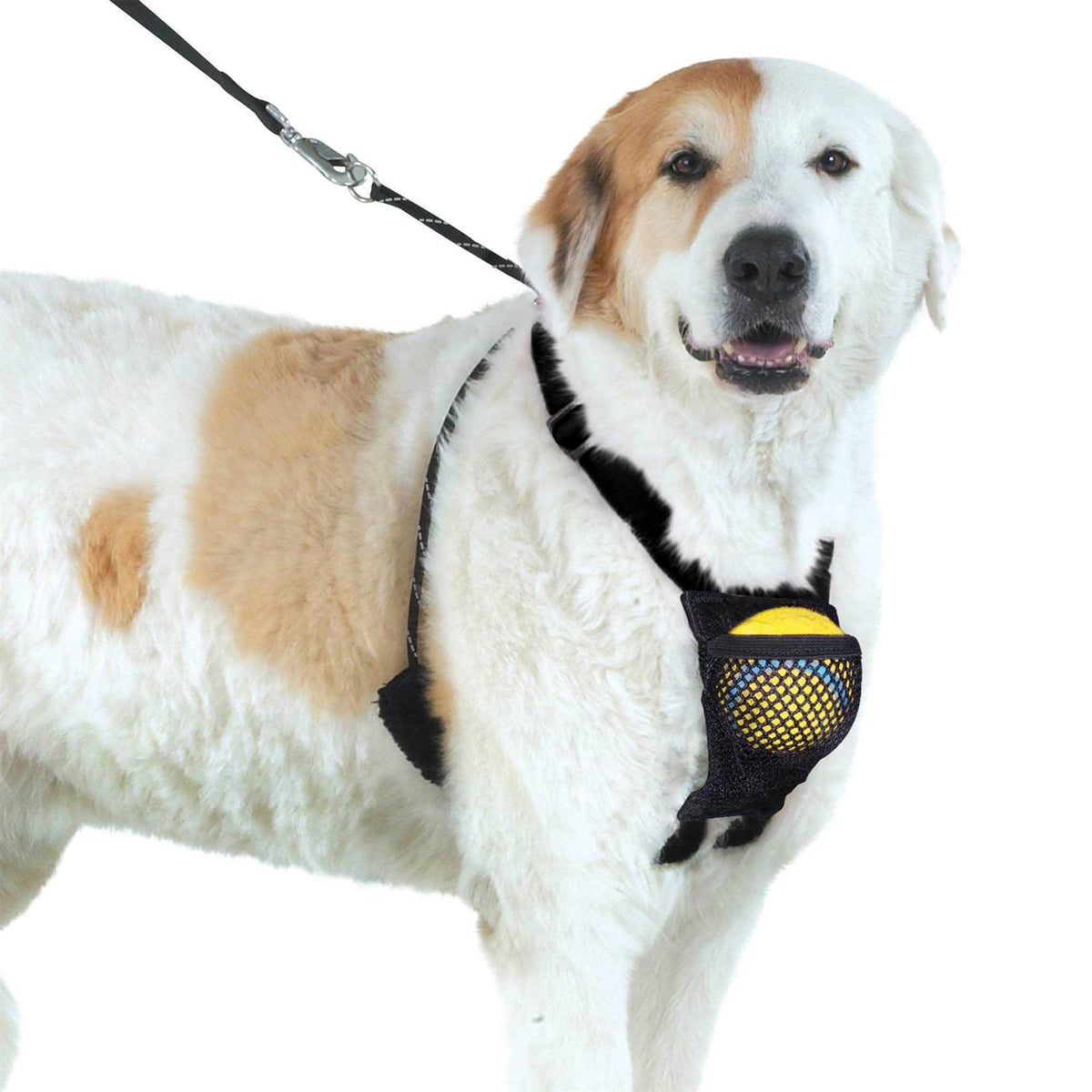 Dog Harness A70846