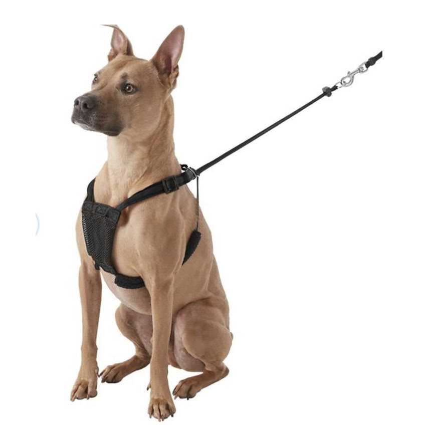 Dog Harness A70846