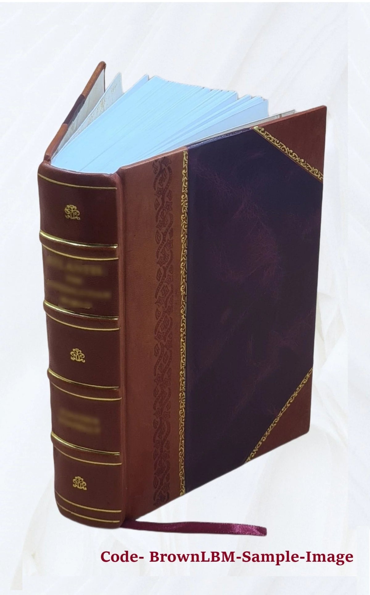 Calendar of State Papers 1566-1579 Leather Bound U839098