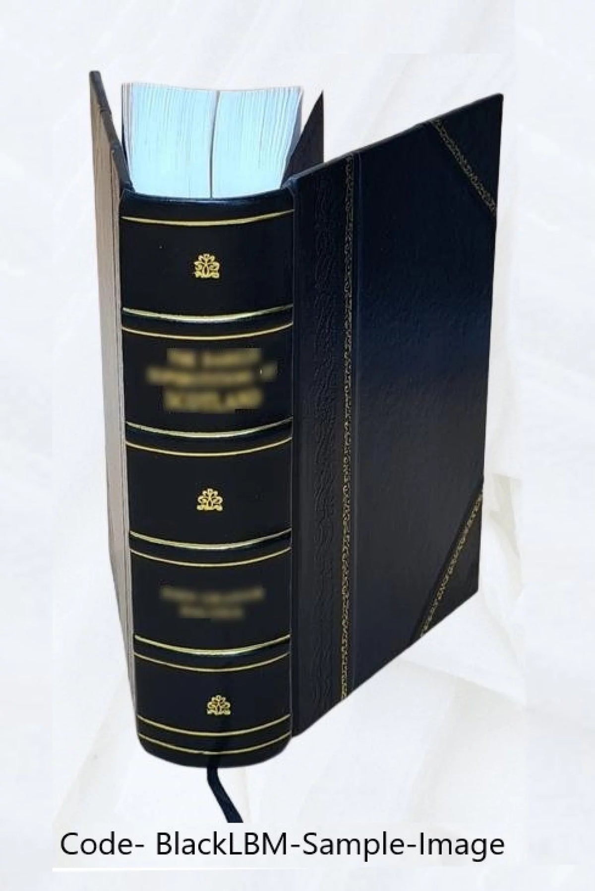 Calendar of State Papers 1566-1579 Leather Bound U839098