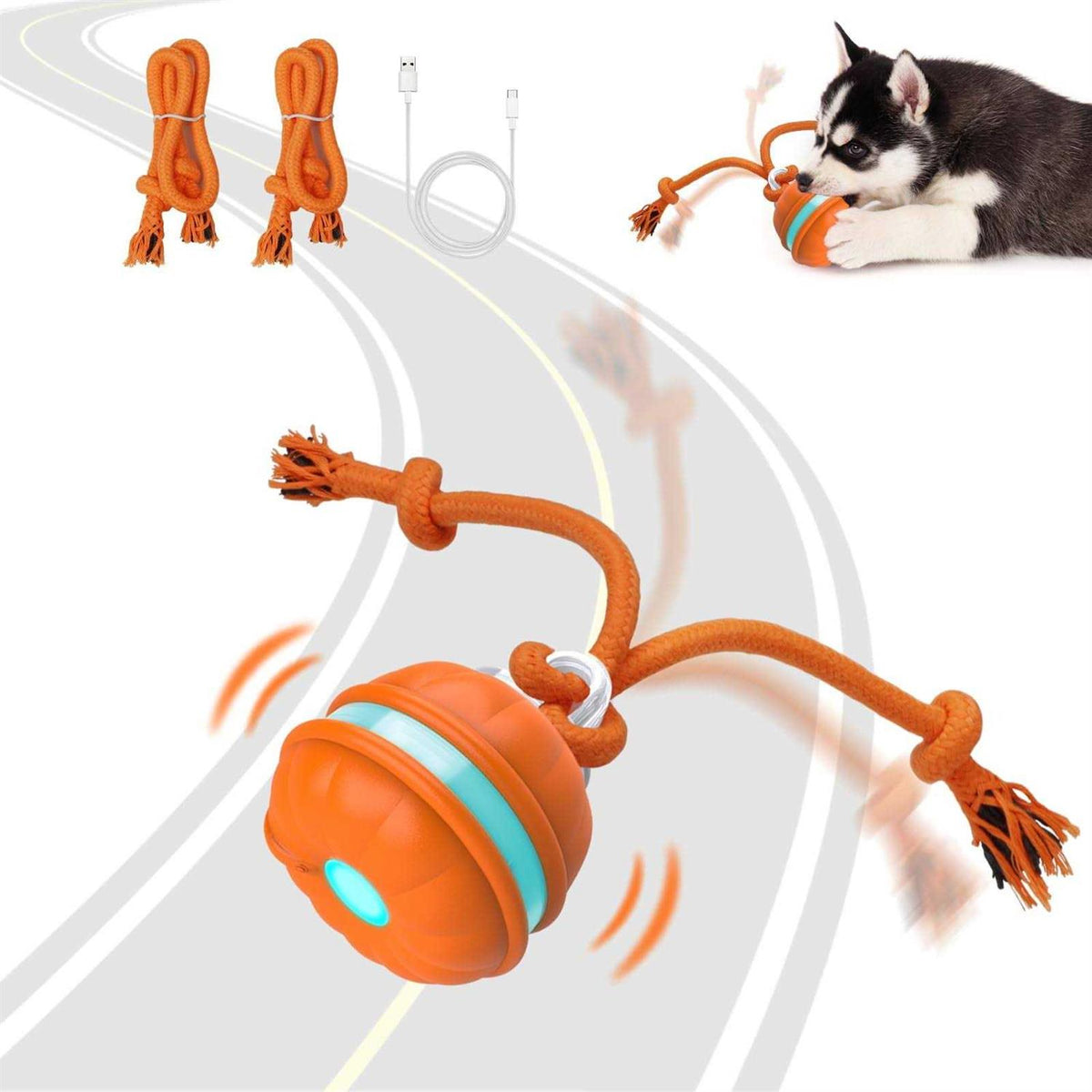 Interactive Dog Toys Motion Activated Dog Ball F660