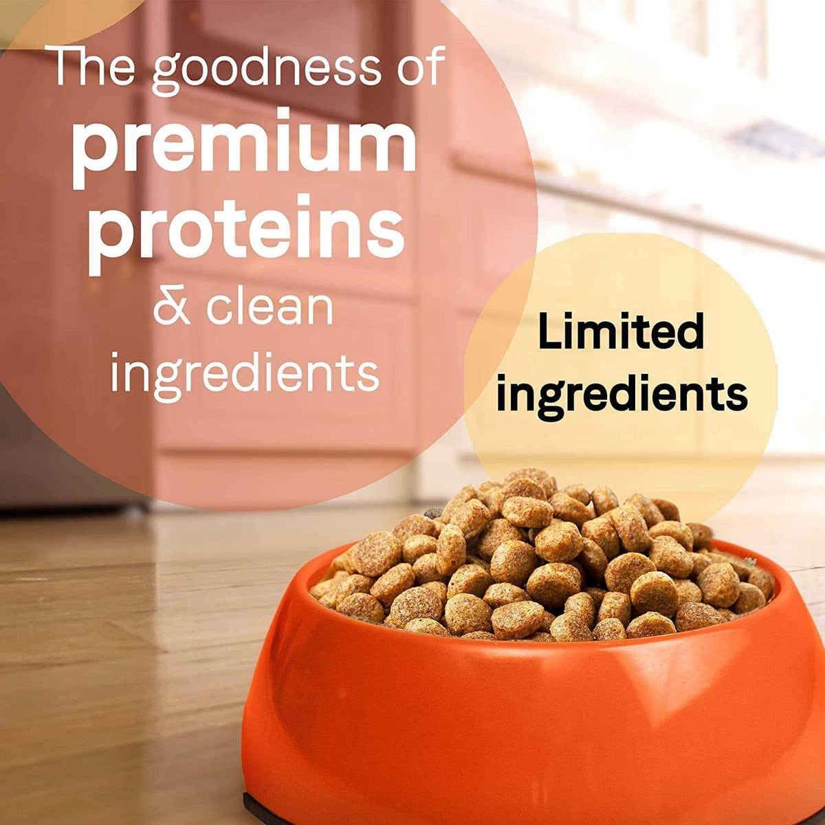 Grain-Free Lamb Dry Dog Food J4047