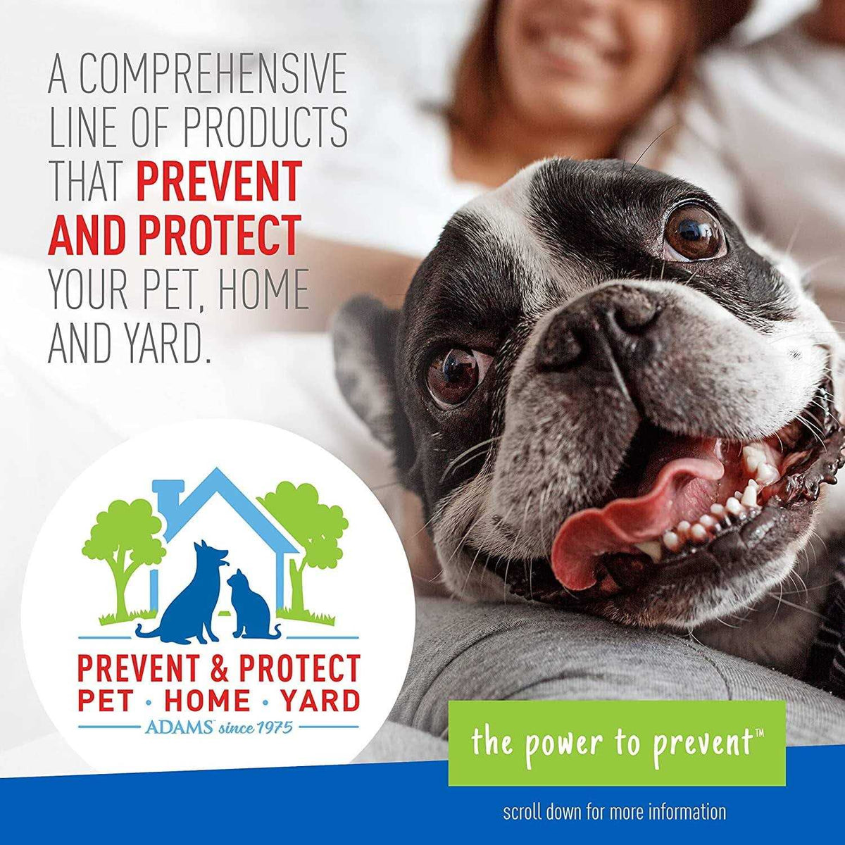 Flea & Tick Collar for Dogs J820524