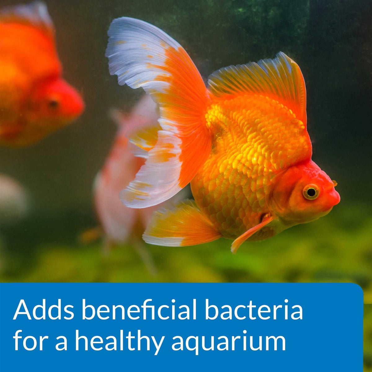 Aquarium Water Conditioner Y85695