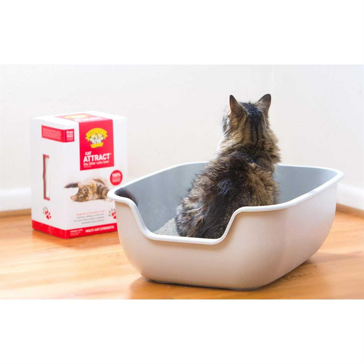Cat Attract Cat Litter Y2531