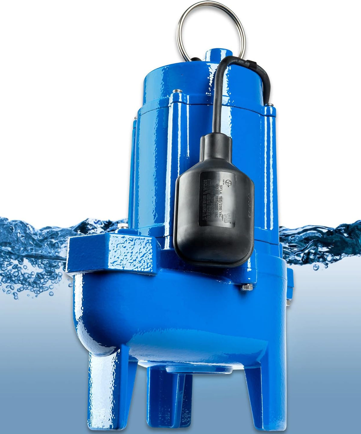 3/4 hp Cast Iron Sewage Pump with Tethered Switch P8241
