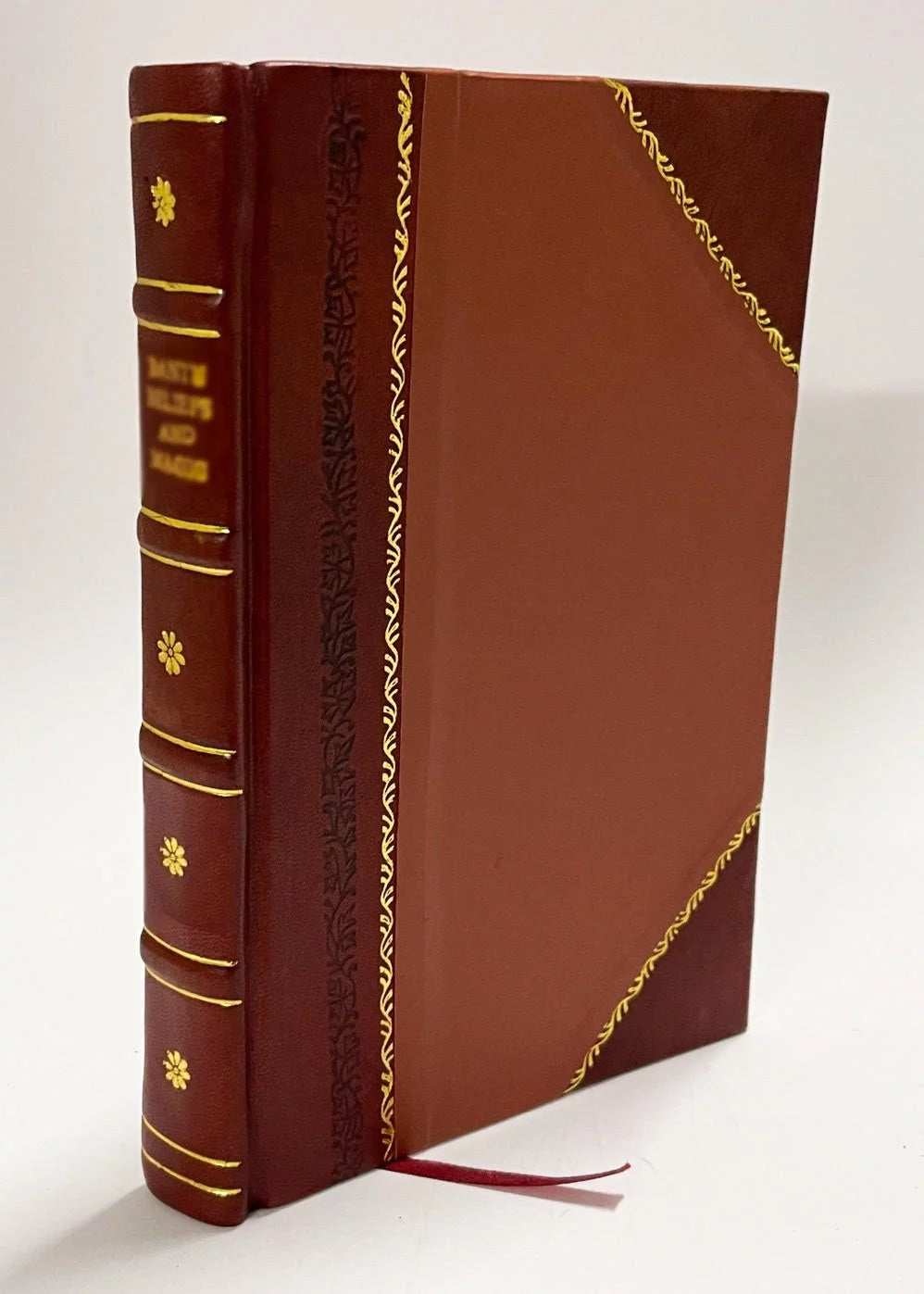 Homelies Sur Les Evangiles De Tous Les Dimanches De L'Annee Volume 1 Leather Bound W539