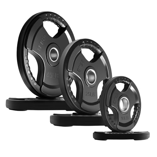 2-Inch Weight Plates for Barbell V2613