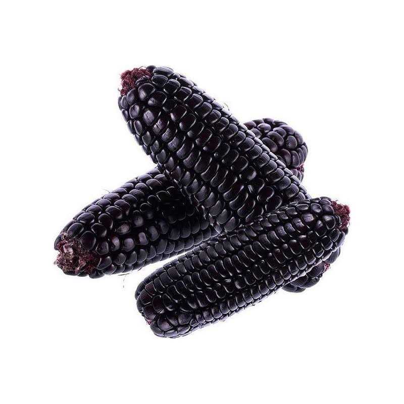 Purple Corn Cob D5435