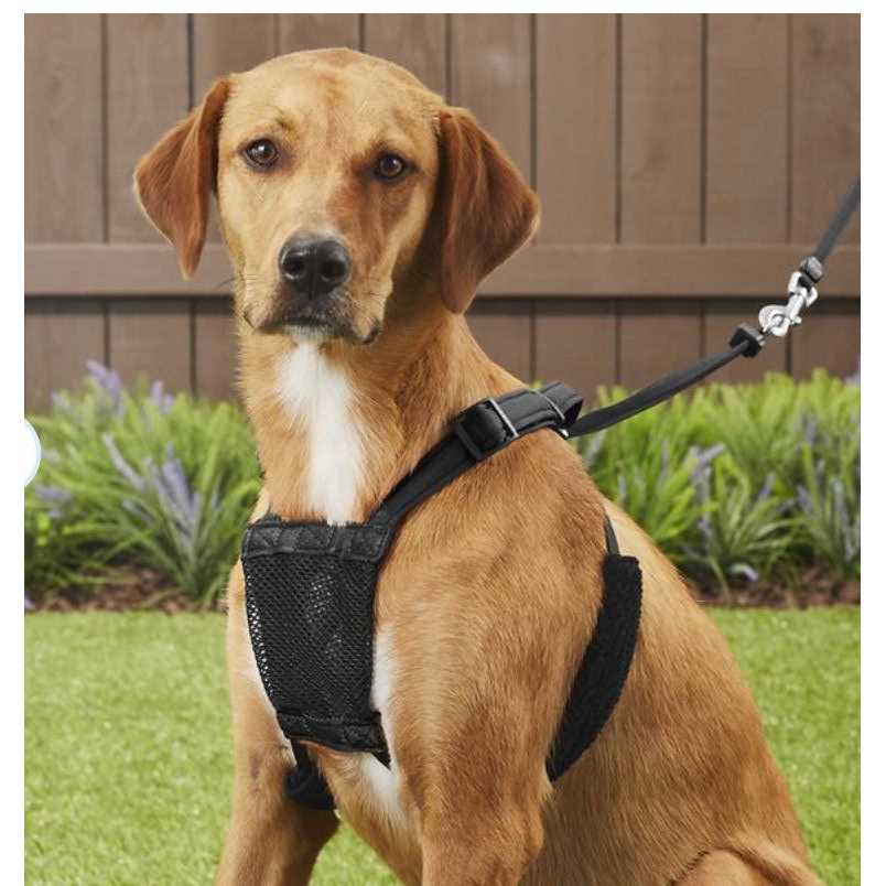 Dog Harness A70846