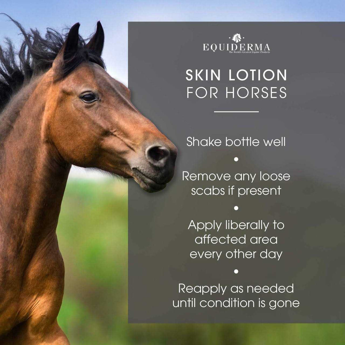 Skin Lotion O8592