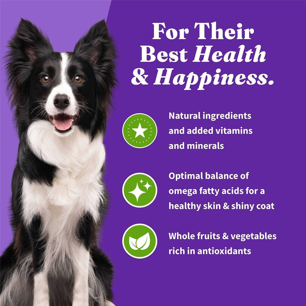 Vegan Plant-Based Dry Dog Food K75979