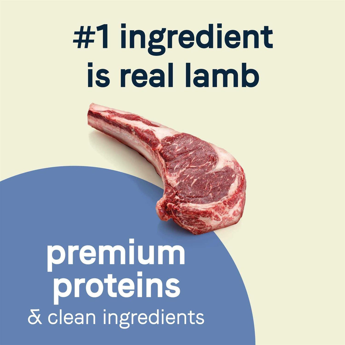 Grain-Free Lamb Dry Dog Food J4047