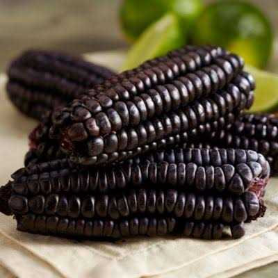 Purple Corn Cob D5435