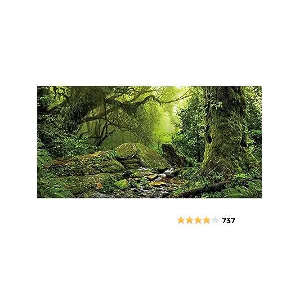 Foggy Forest Reptile Habitat Background B131347