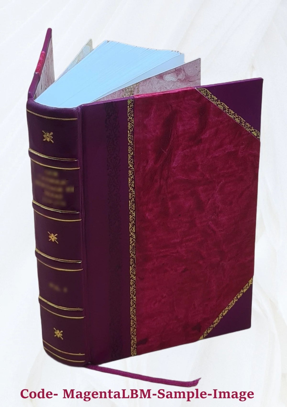 Calendar of State Papers 1566-1579 Leather Bound U839098