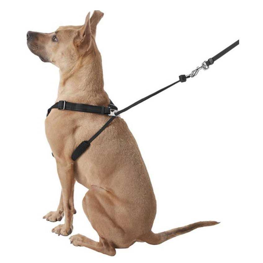 Dog Harness A70846