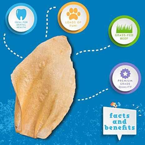 Cow Ears Y71832