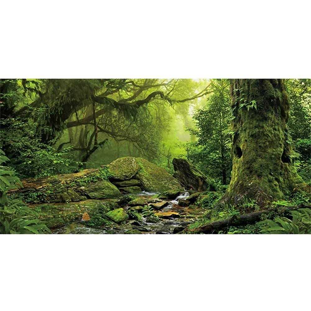 Foggy Forest Reptile Habitat Background B131347