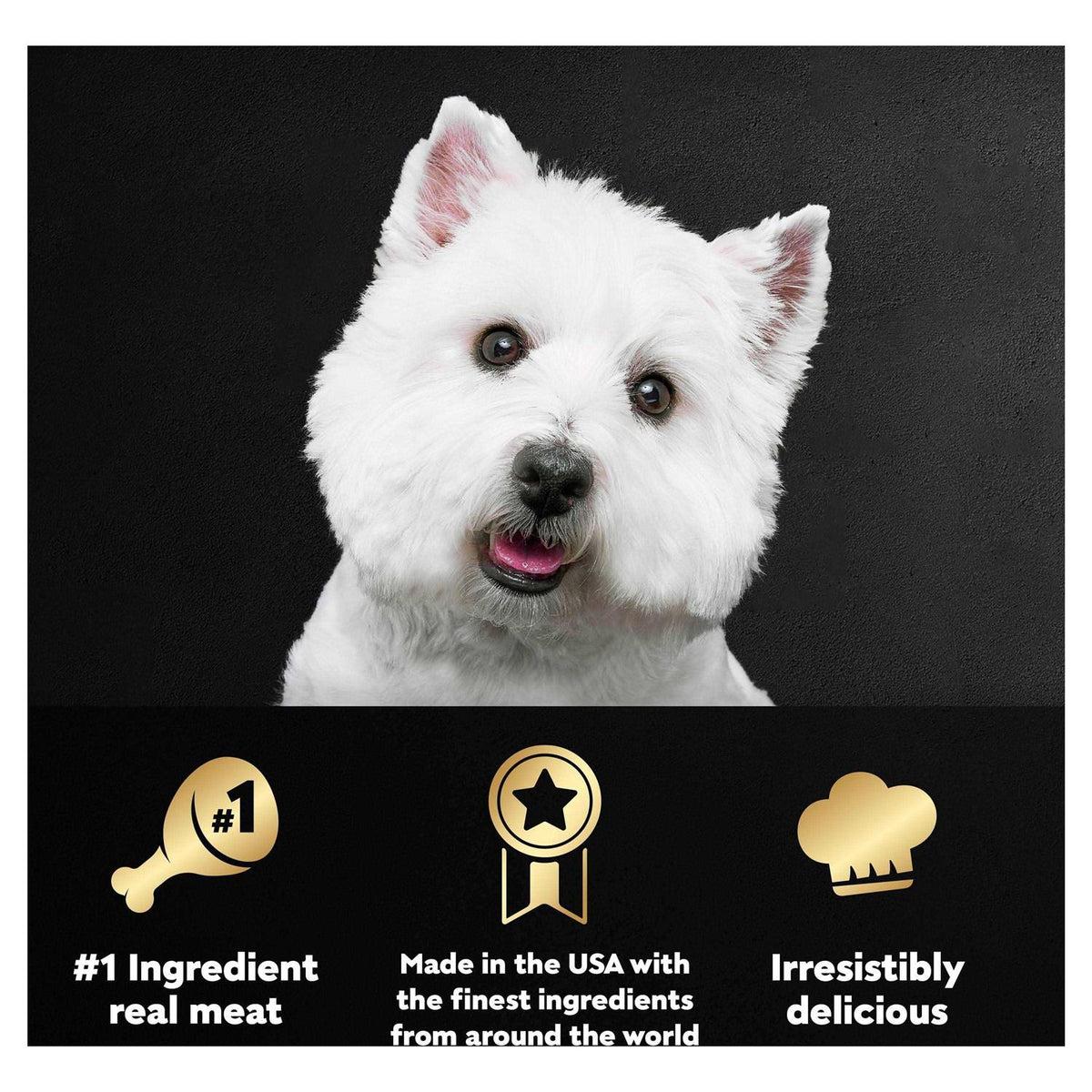 Grilled Dog Food L12885