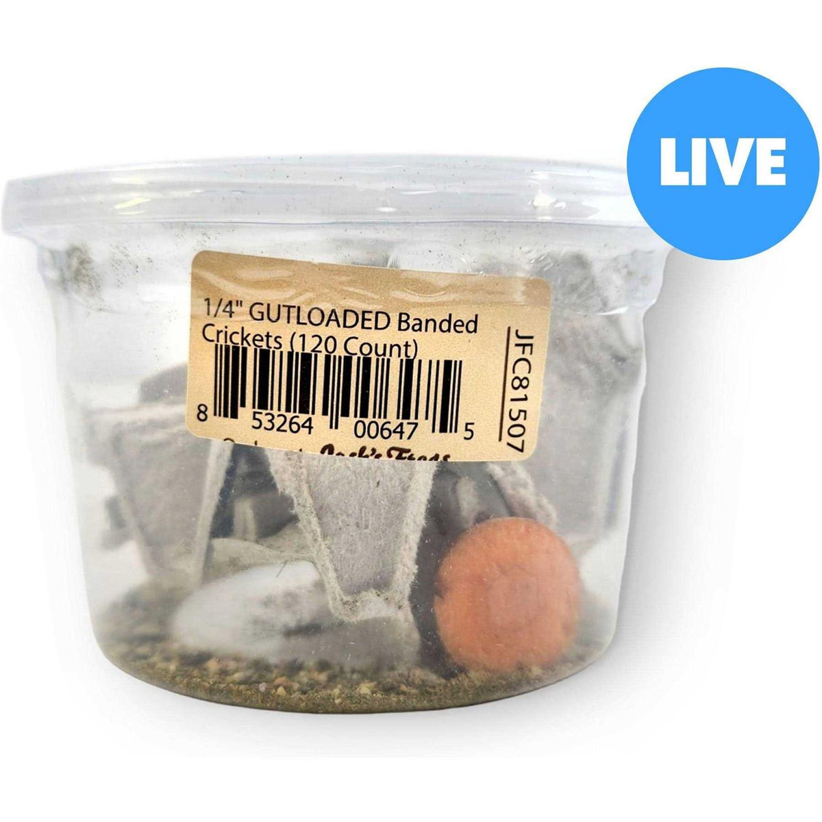 Live Feed Reptile Food H9276