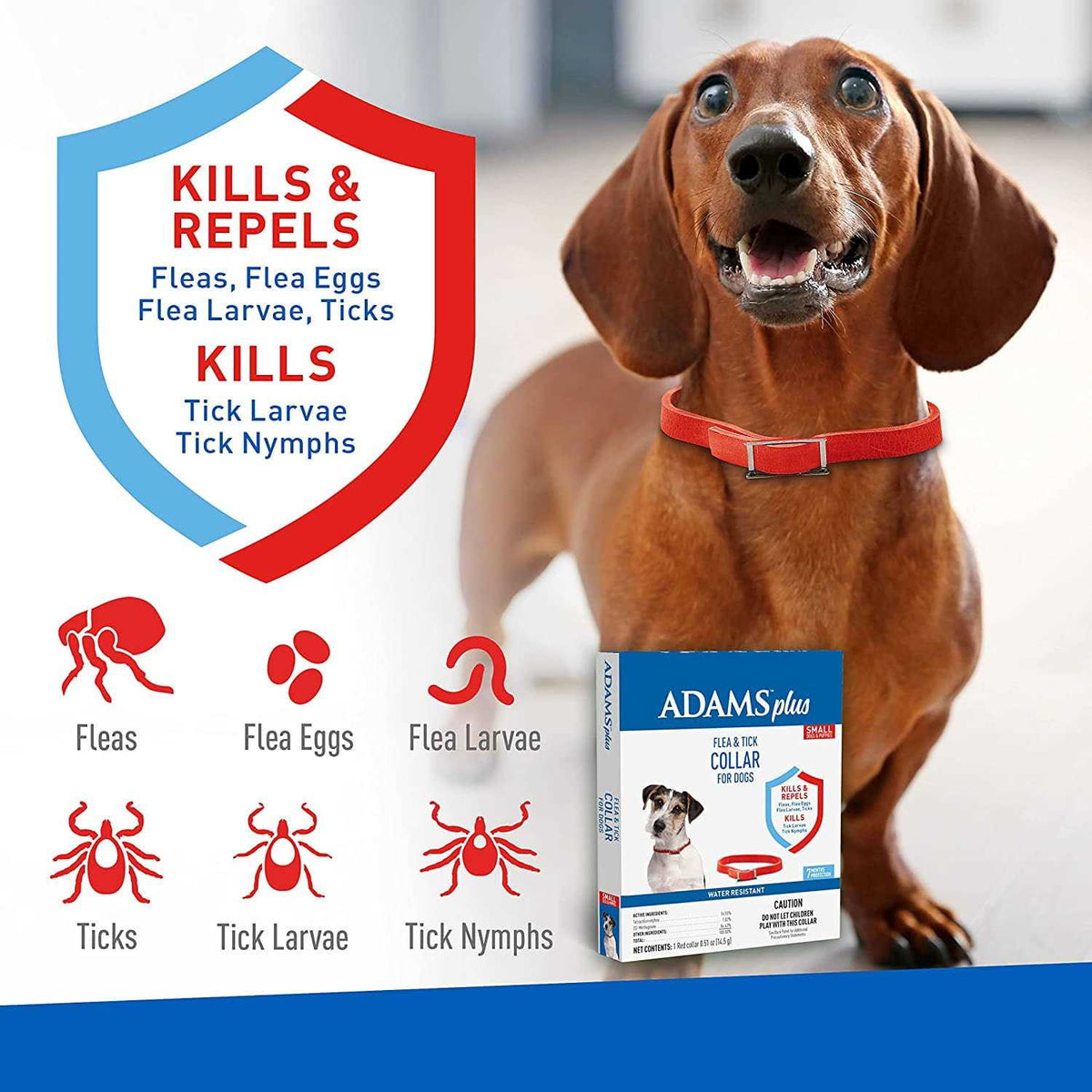 Flea & Tick Collar for Dogs J820524