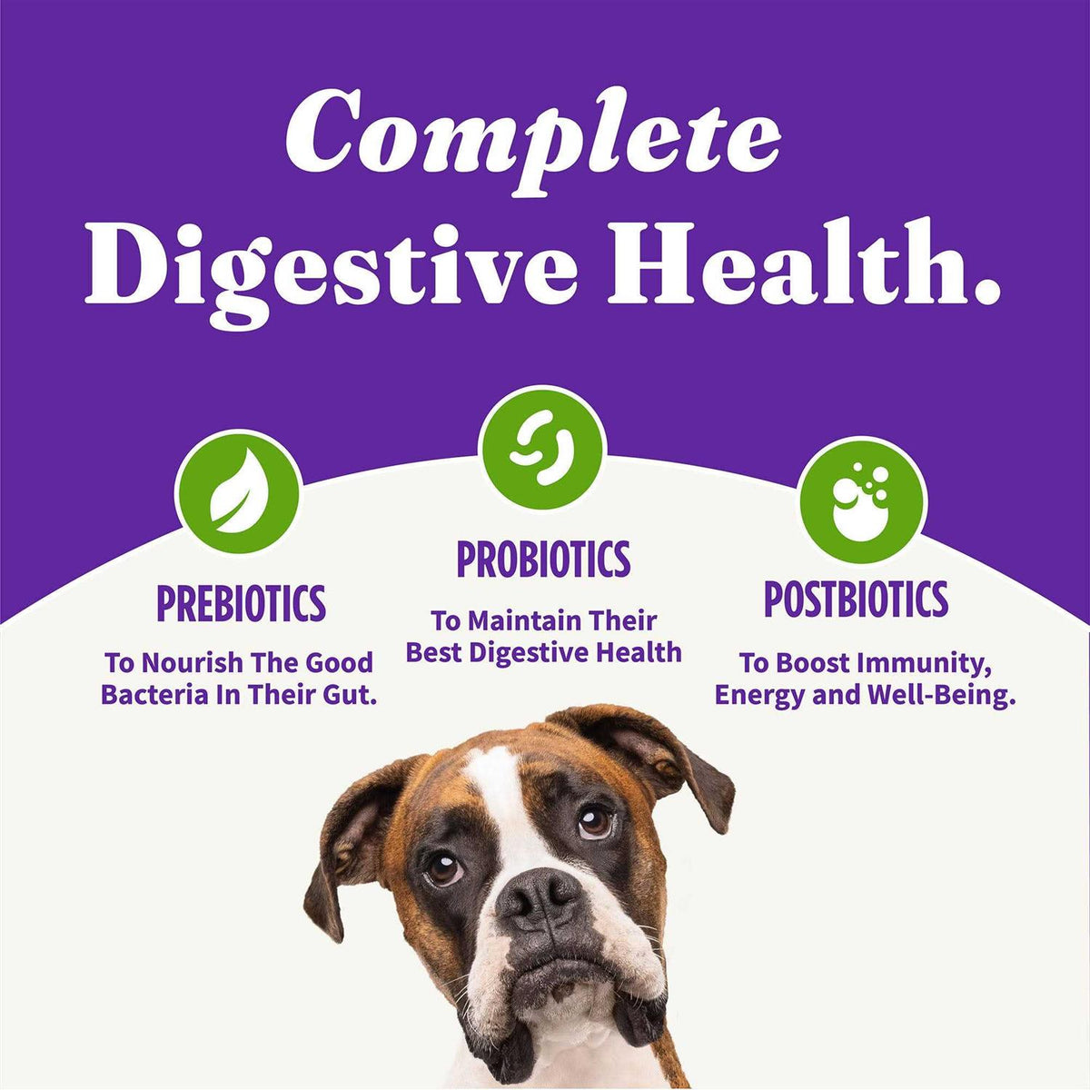 Vegan Plant-Based Dry Dog Food K75979