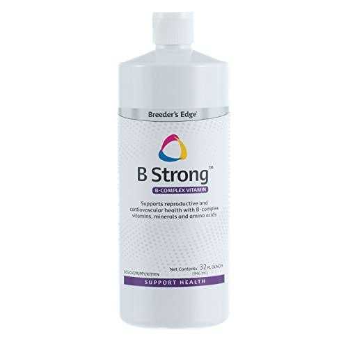 Pet Supplies E587884