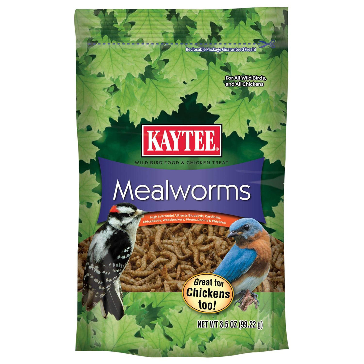 Mealworms Bird Food F336512