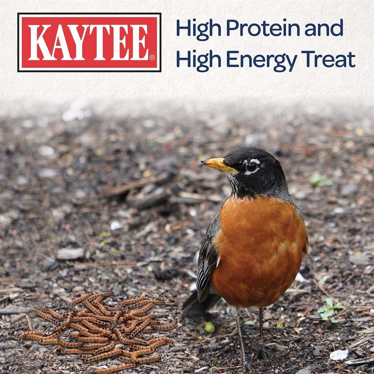 Mealworms Bird Food F336512