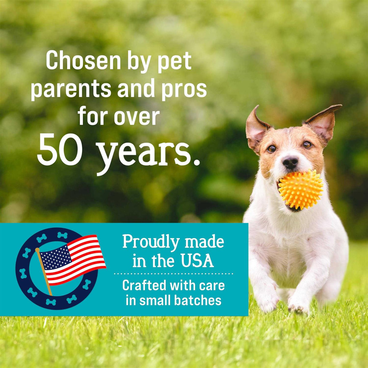 Freeze Dried Chicken Dog Treats W32421