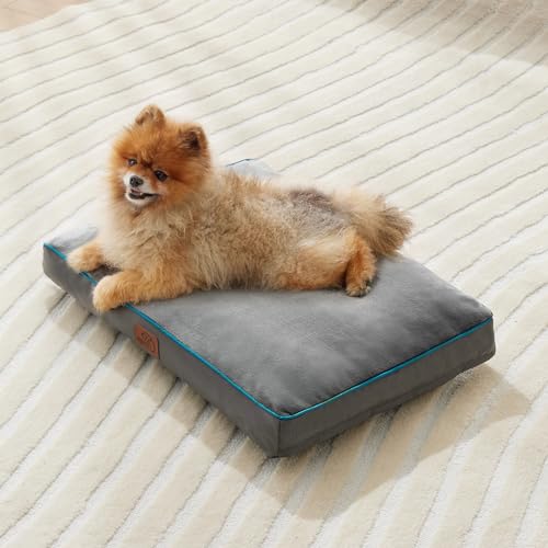 Washable Dog Bed Large 3 Inch Thicken Grey Z79564