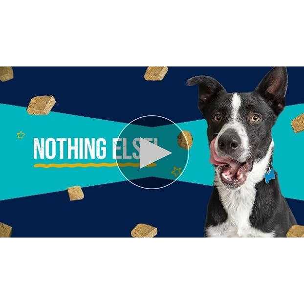 Freeze Dried Chicken Dog Treats W32421