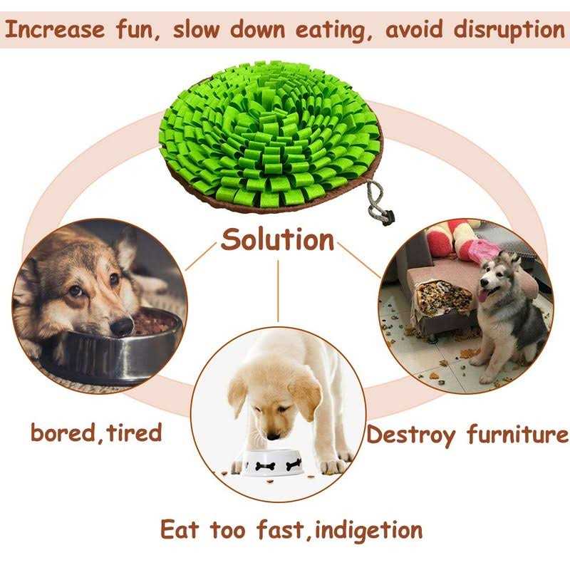 Pet Snuffle Mat R75347